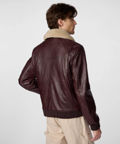 Shop The Men's A2 Aviator Dark Brown Bomber Leather Jacket