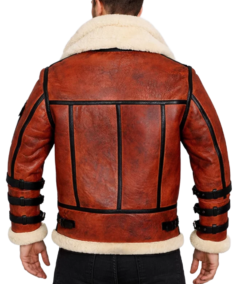 Double Collar B-3 Shearling Red Leather Aviator Jacket Back