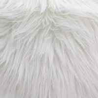 Image For Choice Number 12