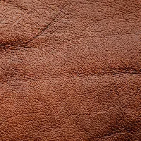 Image For Choice Number 1