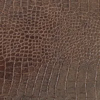 Image For Choice Number 6