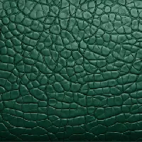 Image For Choice Number 7