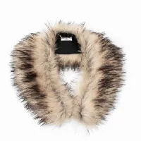 Image For Choice Number 8